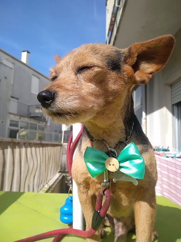 Opinii despre Cafe Mesquita în Vila do Conde - Gastronomia e hotelaria