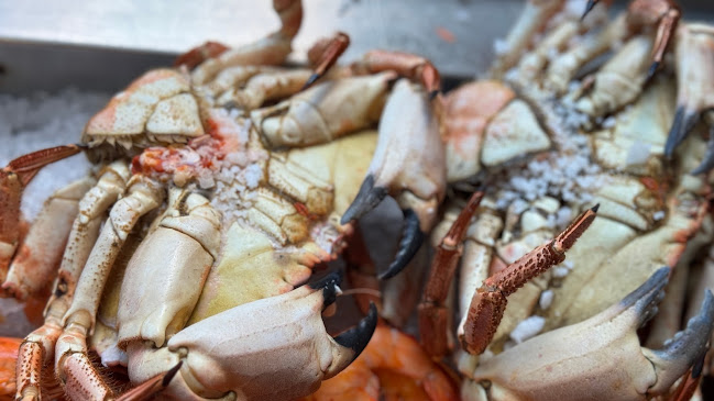 Opinii despre Ostras & Coisas în Porto - Gastronomia e hotelaria