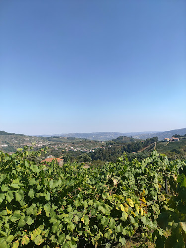 Tasca do Giro - Vila Real