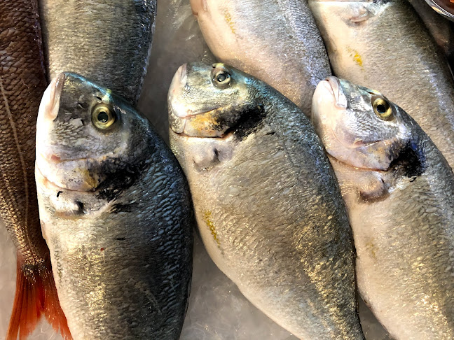 Mercado do Peixe - Gastronomia e hotelaria