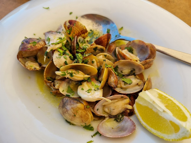 Sem Espinhas - Guadiana