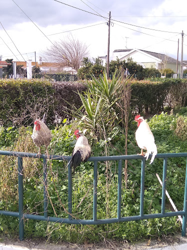 Comentarii opinii despre Café Duarte