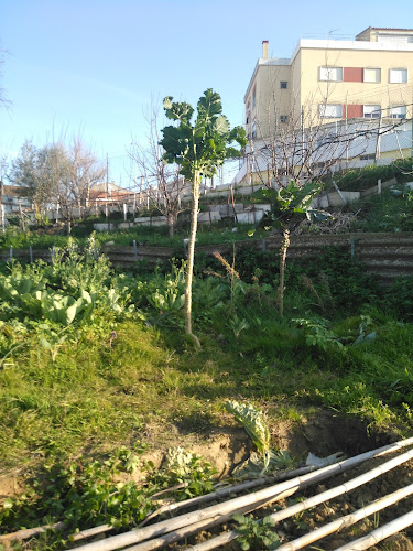 Comentarii opinii despre Estrela Dourada