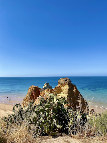 Opinii despre Praia Da Rocha în Portimão - Gastronomia e hotelaria