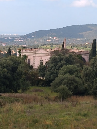 Opinii despre Restaurante O Churrasco da Pipa în Castelo Branco - Gastronomia e hotelaria