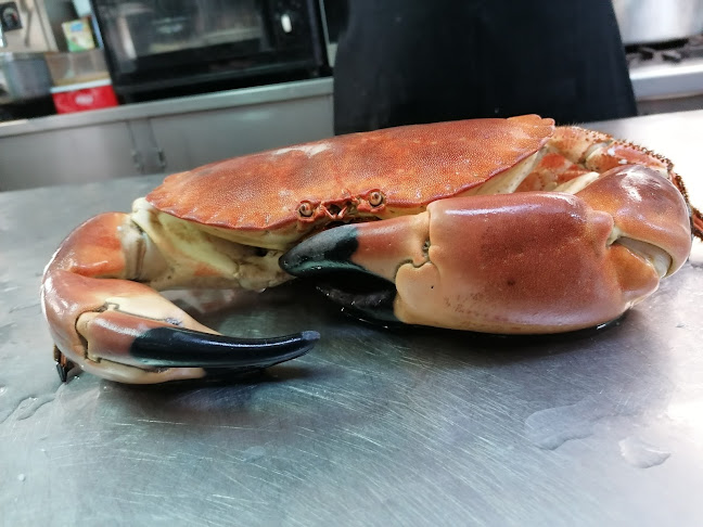 Opinii despre Ferribote în Setúbal - Gastronomia e hotelaria