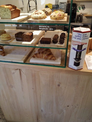 Comentarii opinii despre Selva