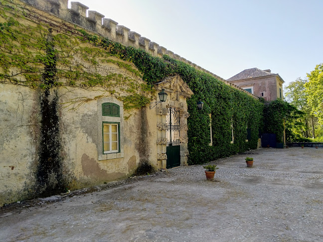 Quinta das Torres - São Lourenço