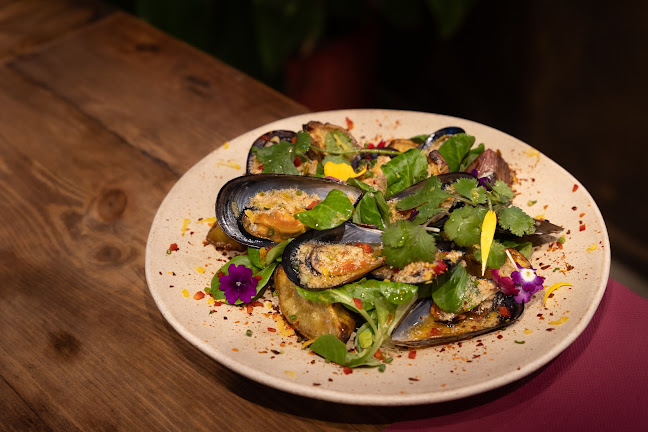 Comentarii opinii despre Flores da Pampa