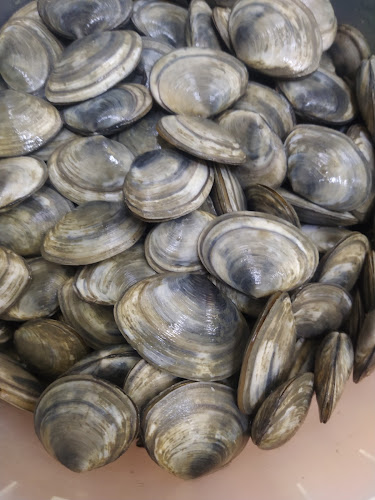 Comentarii opinii despre Kikos Café Restaurante