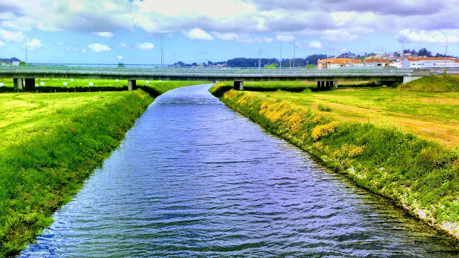 Comentarii opinii despre Casa do Rio