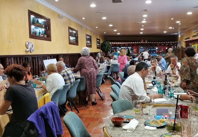 Comentarii opinii despre O Gato