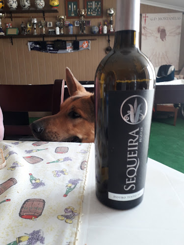 Snack-bar O Pescador - Gastronomia e hotelaria