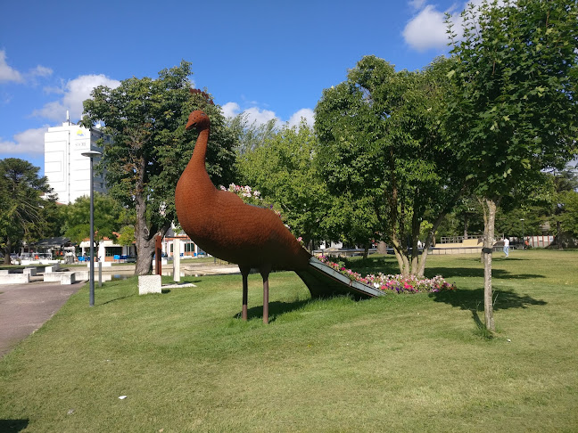 Solar do Parque - Gastronomia e hotelaria