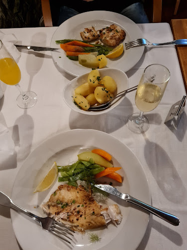 O Dragoeiro - Funchal