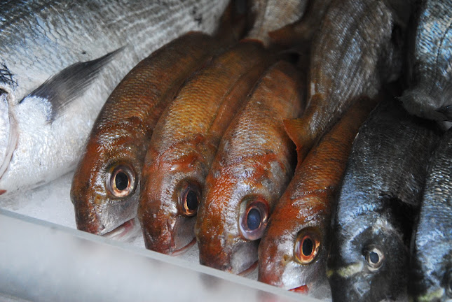 Restaurante Teresa - Matosinhos