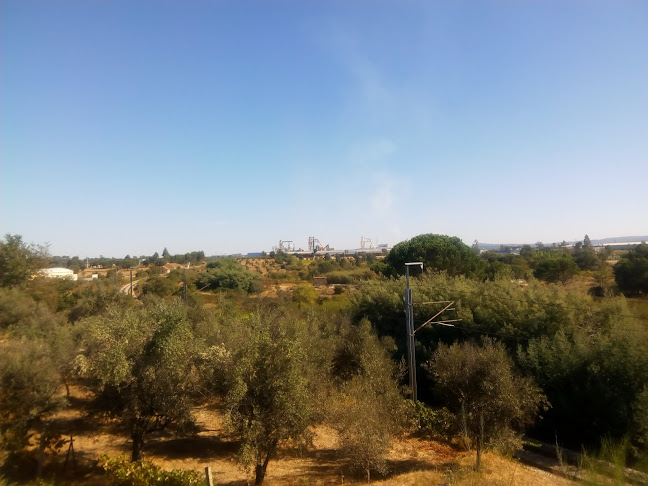 Comentarii opinii despre A Nova Padaria