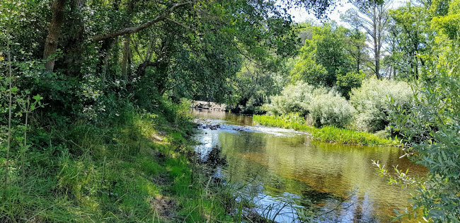 Comentarii opinii despre Bar do Côa