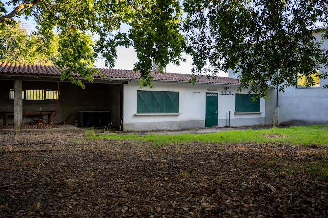Núcleo de Melhoramentos de Cultura e Recreio do Campo