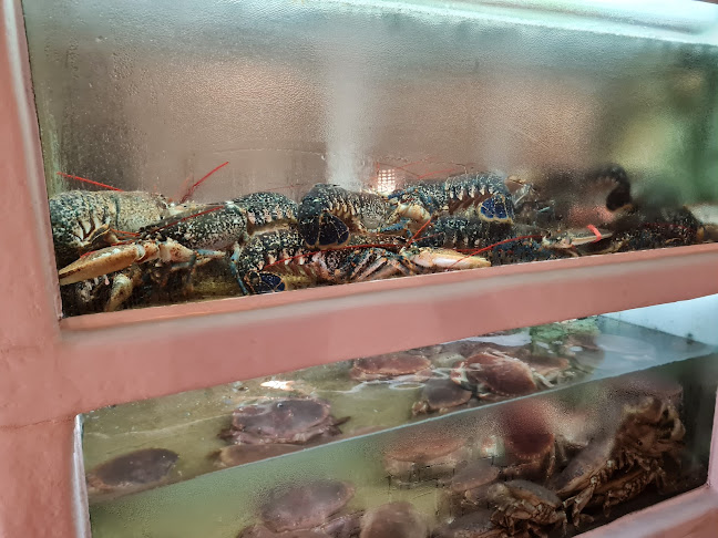 Comentarii opinii despre Don Sebastião