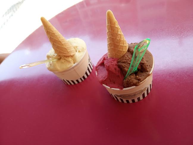 Comentarii opinii despre CasaDoGelado -1981