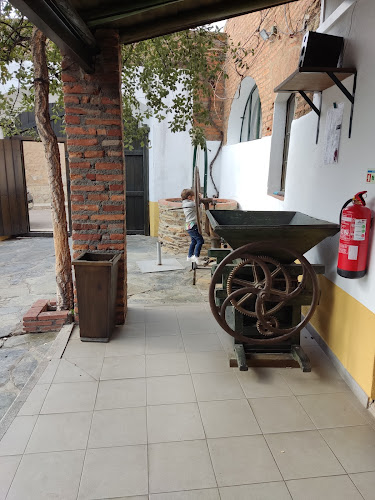 Adega Piteira - Amareleja