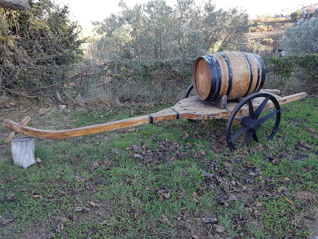 R. Cova do Barro, 5100-349