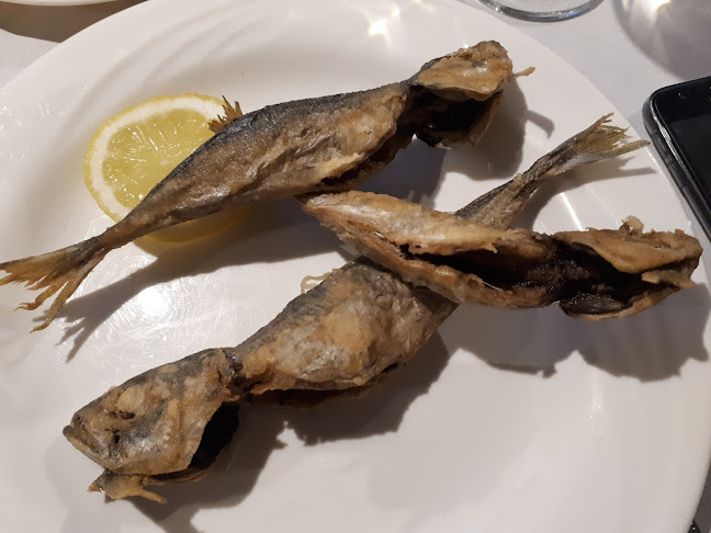 Comentarii opinii despre Mauritânia Real