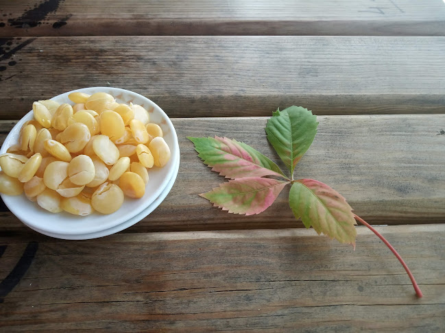 Opinii despre Casa do Rio în Mangualde - Gastronomia e hotelaria