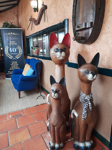 O Gato - Gastronomia e hotelaria