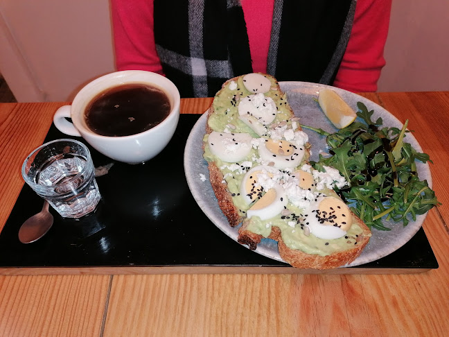 Comentarii opinii despre Selva