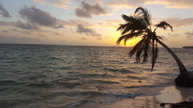 Jamaica Bar - Guarda