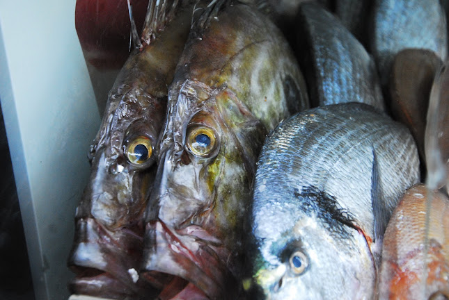 Restaurante Teresa - Gastronomia e hotelaria