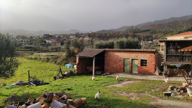 Restaurante Estrela - Caparrosa