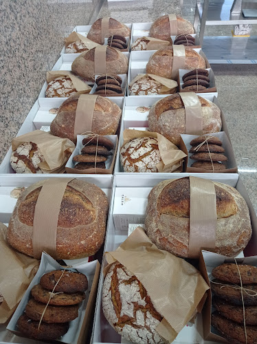 R. Central 1006, 4505-254