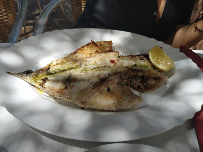 Casa da Vinha - Gastronomia e hotelaria