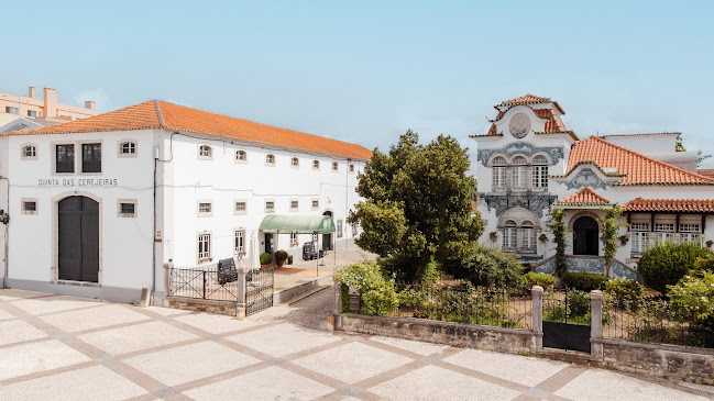 Quinta das Cerejeiras - Wine Shop - Museum - Wine Tourism