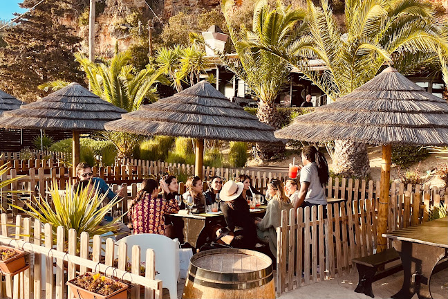 Comments and reviews of Club Nau