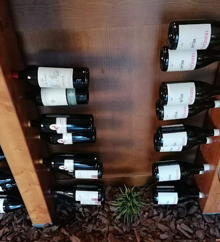 Comentarii opinii despre G•Treze