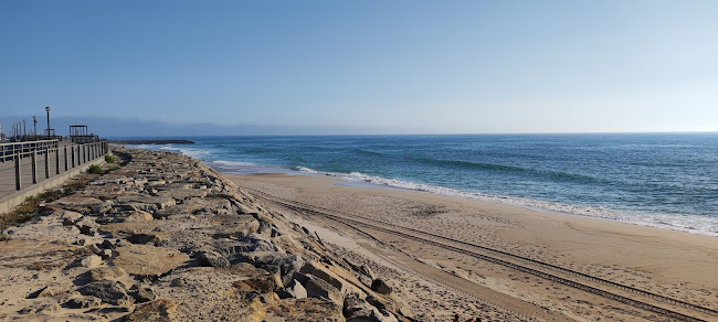 Comentarii opinii despre Flor da Praia
