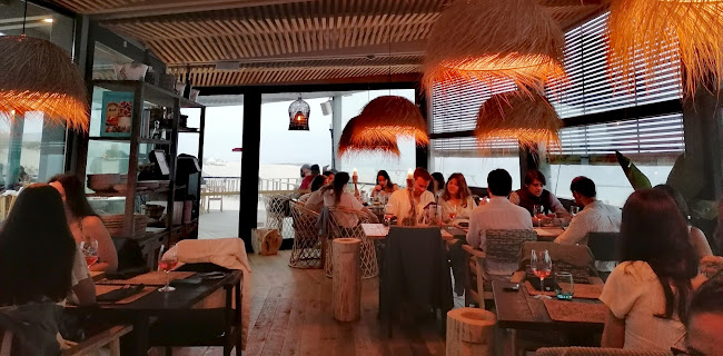 Sétimo Ano de Praia Beach CLUB