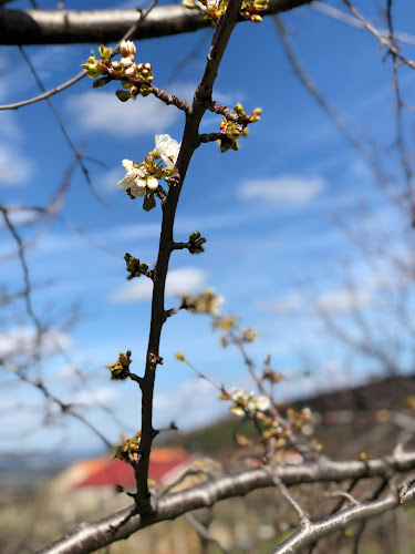 Comentarii opinii despre Café Cine - Fundão