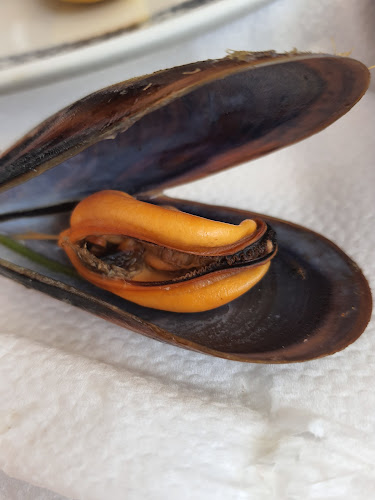 Opinii despre Restaurante Telheiro Do Infante în Sagres - Gastronomia e hotelaria