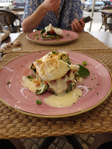 Mogno - Your Natural Choice