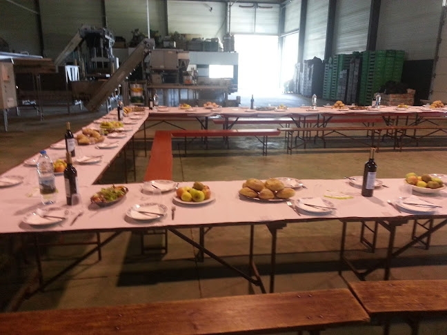 Estrada Nacional 8/5, Leizerões, 2450-633 Valado dos Frades