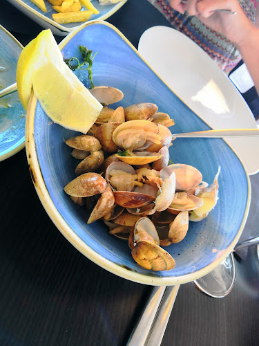 Comentarii opinii despre O Camilo