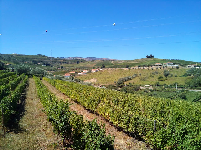 Comentarii opinii despre Café da Torre