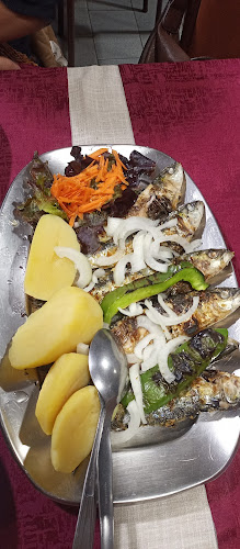 Comentarii opinii despre O Barco