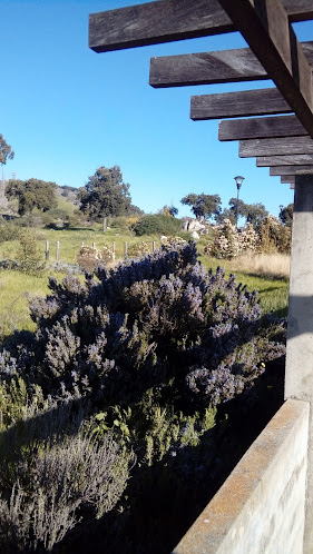 Comentarii opinii despre Terminal Bar - José Nascimento Pereira