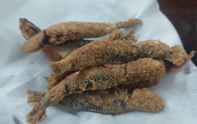 Rua de Pieres, N106, 4560-222 Penafiel